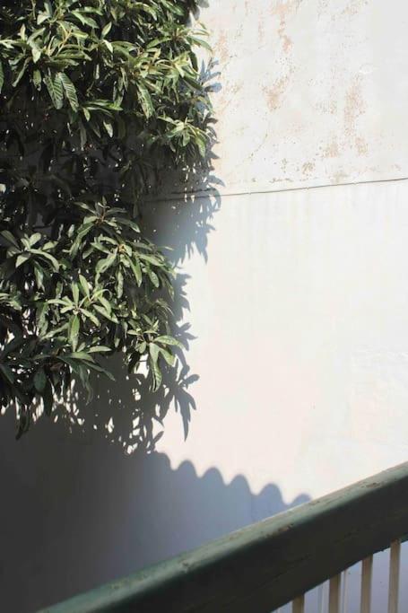 Spacieux Appartement 4 Couchages, Terrasse Privee ナルボンヌ エクステリア 写真