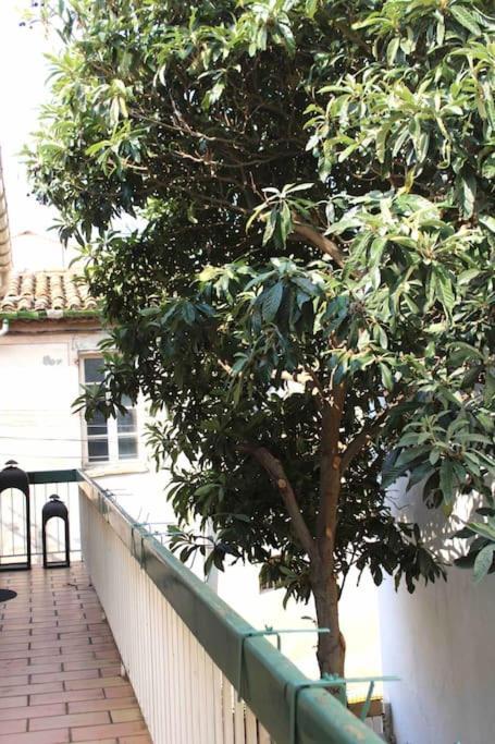Spacieux Appartement 4 Couchages, Terrasse Privee ナルボンヌ エクステリア 写真